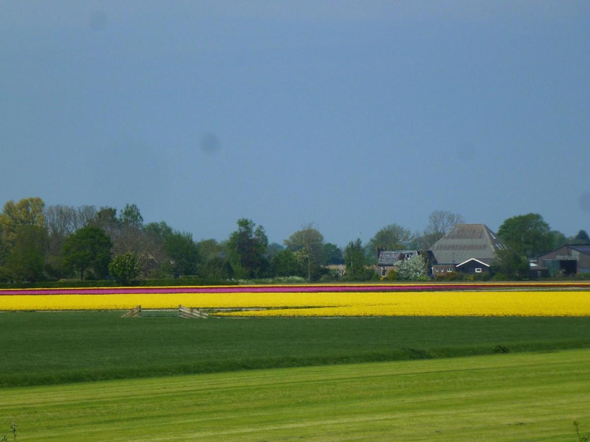 Het Burgemeestershuis Bed & Breakfast Barsingerhorn ภายนอก รูปภาพ